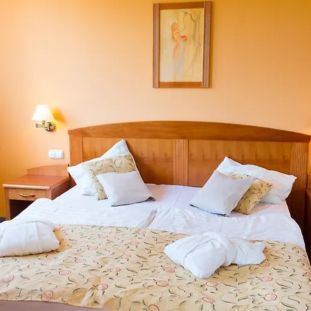 Apartman Karos Gold 813 Wellness *